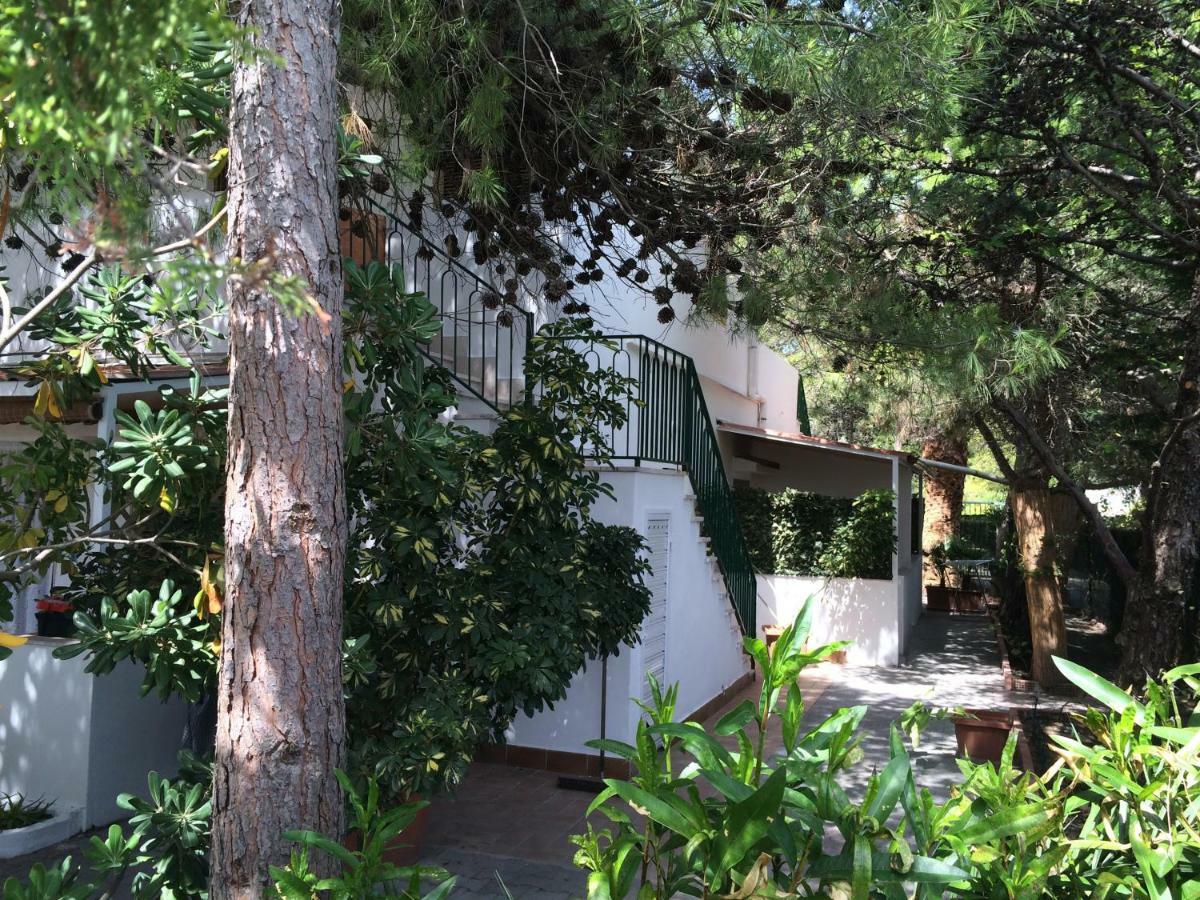 Villa Irene Vieste Exterior photo